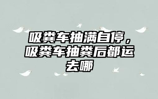 吸糞車抽滿自停，吸糞車抽糞后都運去哪