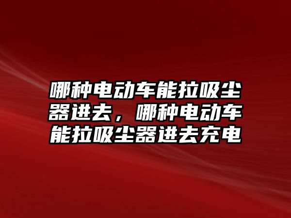 哪種電動車能拉吸塵器進去，哪種電動車能拉吸塵器進去充電