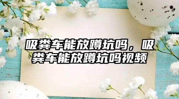 吸糞車能放蹲坑嗎，吸糞車能放蹲坑嗎視頻