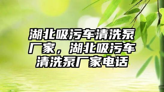 湖北吸污車清洗泵廠家，湖北吸污車清洗泵廠家電話