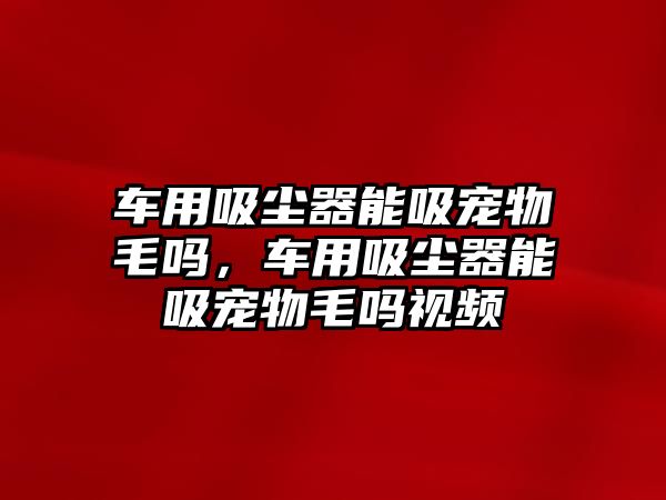 車用吸塵器能吸寵物毛嗎，車用吸塵器能吸寵物毛嗎視頻