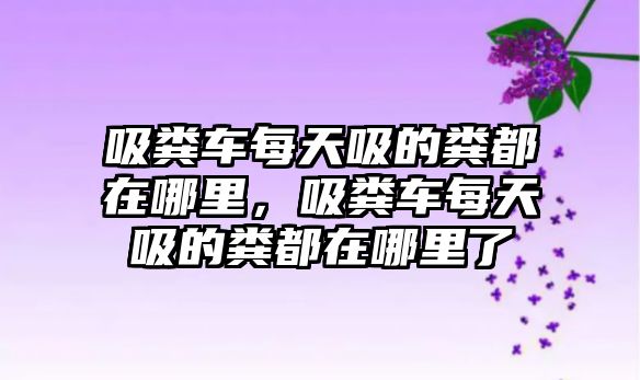 吸糞車每天吸的糞都在哪里，吸糞車每天吸的糞都在哪里了