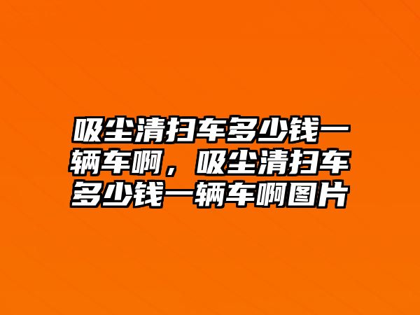 吸塵清掃車多少錢一輛車啊，吸塵清掃車多少錢一輛車啊圖片