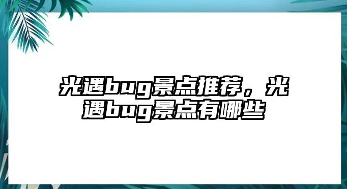 光遇bug景點推薦，光遇bug景點有哪些