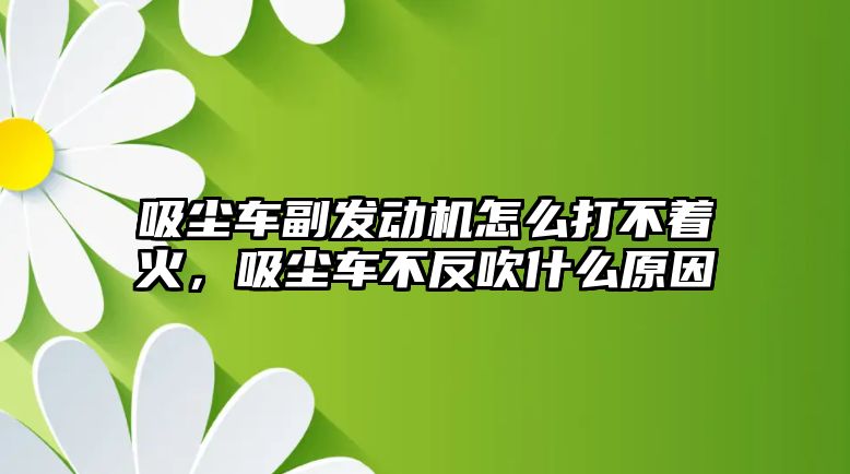 吸塵車副發動機怎么打不著火，吸塵車不反吹什么原因